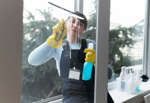 Nettoyage de vitres intérieures et extérieures à Arboussols